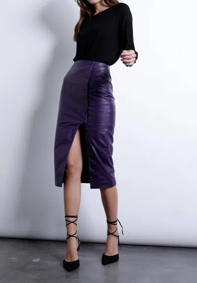 Shop Karina Grimaldi Angel Leather Skirt In Kholrabi In Purple