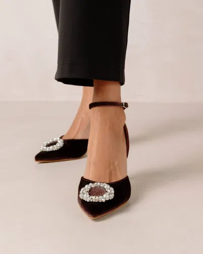 Shop Alohas Cinderella Crystal Embellished High-heel Pumps In Velvet Coffee Brown In Black