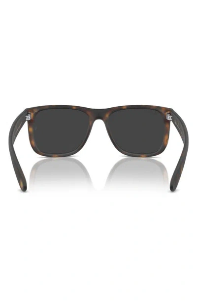 Ray Ban Justin 55mm Polarized Square Sunglasses In Brown Havana