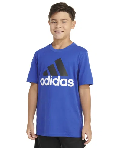Shop Adidas Originals Big Boys Short Sleeve Two-color Logo T-shirt In Semi Lucid Blue
