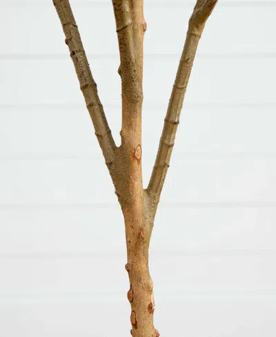 Nearly Natural 6ft. Artificial Olive Tree With Natural Trunk In Green