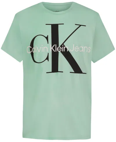 Shop Calvin Klein Big Boys Monologo Short Sleeve T-shirt In Light Green