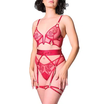 Shop Thistle And Spire Paramount Garter 311753 In Crimson In Red