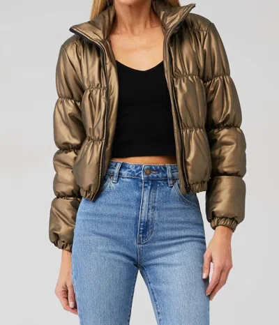 Shop Bb Dakota Kelper Jacket In Gold In Brown