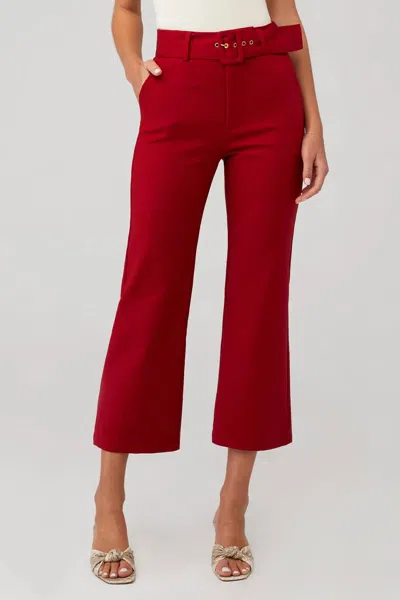 Shop Show Me Your Mumu Dj Cropped Pants In Red Suiting