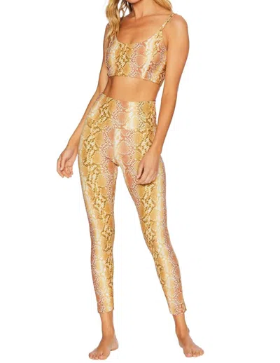 Beach Riot Piper Legging In Golden Snake In Brown