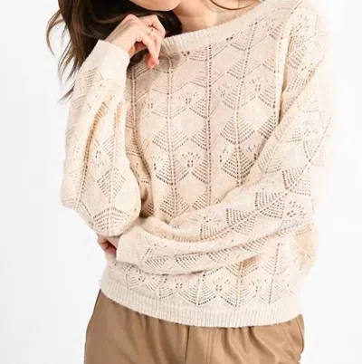 Shop Molly Bracken Pointelle Sweater In Ivory In Beige