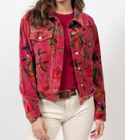 Shop Ivy Jane Robin Printed Jacket In Magenta In Red