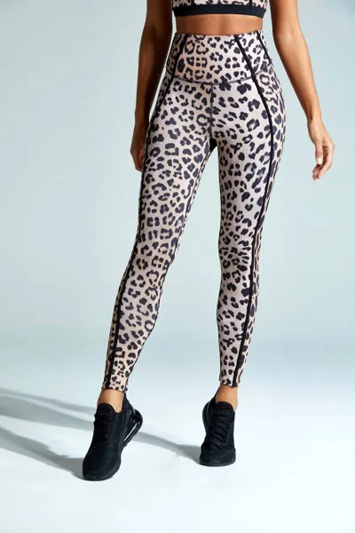 Shop Noli Frame Legging In Leopard In Beige