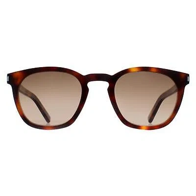 Pre-owned Saint Laurent Sunglasses Sl28 048 Havana Brown Gradient