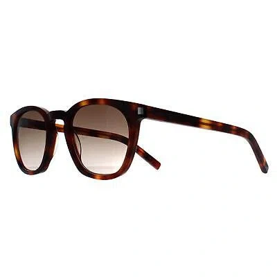 Pre-owned Saint Laurent Sunglasses Sl28 048 Havana Brown Gradient