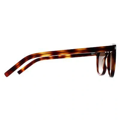 Pre-owned Saint Laurent Sunglasses Sl28 048 Havana Brown Gradient