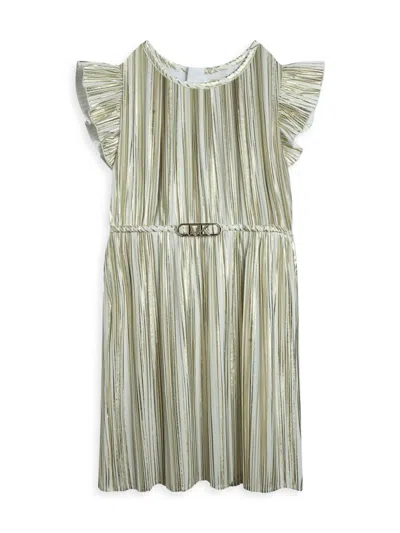 Shop Michael Kors Little Girl's & Girl's Pleated Metallic Dress In White Gold
