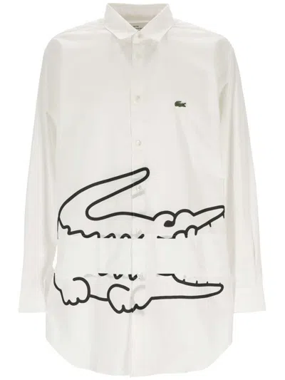 Shop Comme Des Garçons Shirt X Lacoste Shirt In White/black