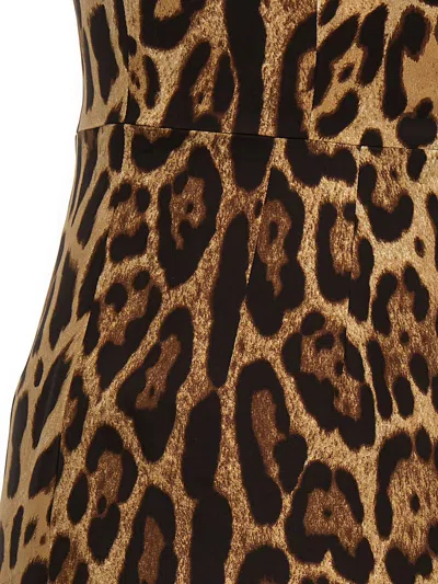 Shop Dolce & Gabbana Dresses In Leo New