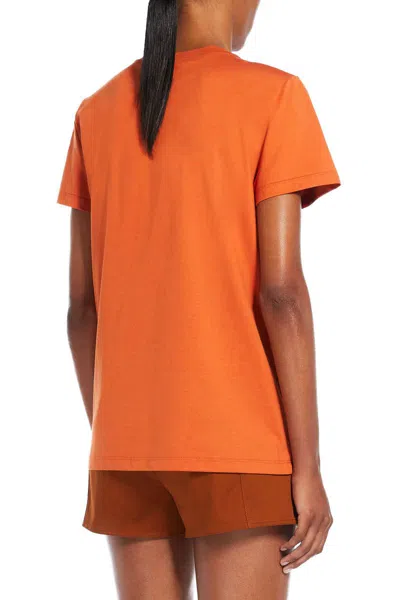 Shop Max Mara T-shirts And Polos In Land Of Africa