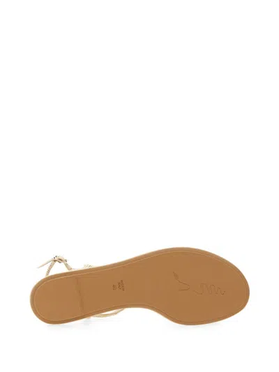 Shop René Caovilla Beige Diana Low Jewel Sandals In Brown