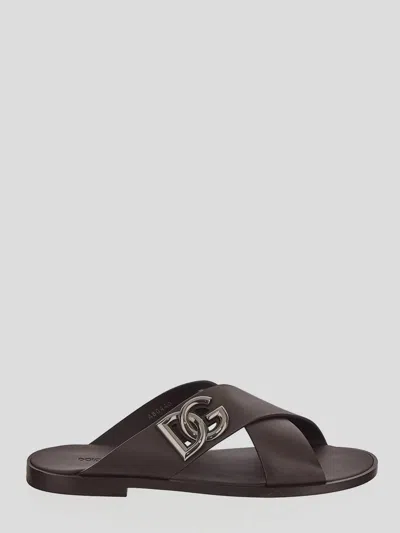 Shop Dolce & Gabbana Flat Shoes In Cioccolatofondente