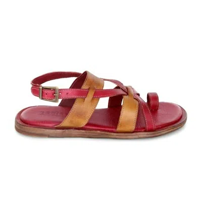 Shop Bed Stu Manati Ii In Tan In Red