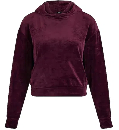 Shop Juicy Couture Velour Cropped Pullover In Purple In Red