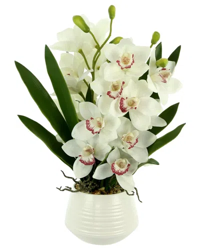 Creative Displays White Orchid Arrangement In White Ceramic Pot In White