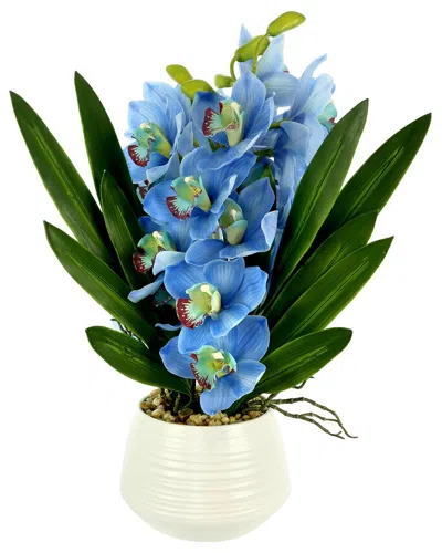 Creative Displays Blue Orchid Arrangement In White Ceramic Pot In Blue
