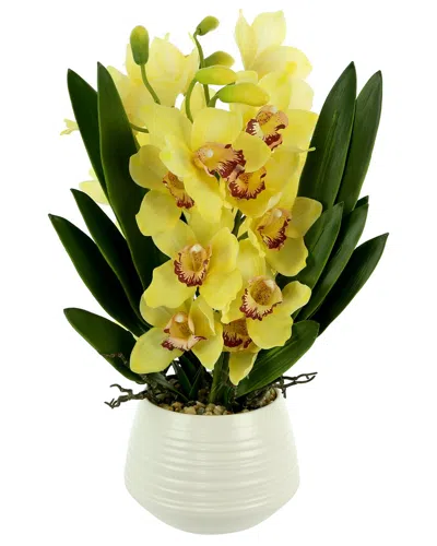 Creative Displays Yellow Orchid Arrangement In White Ceramic Pot In Yellow