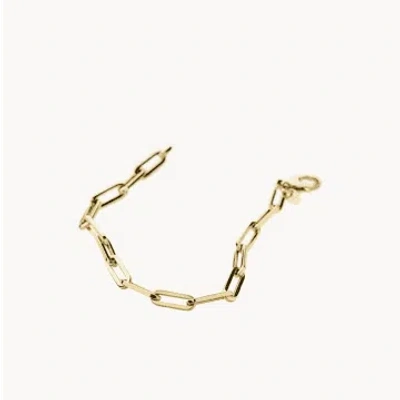 Shop Blush 14k Yellow Gold Link Bracelet