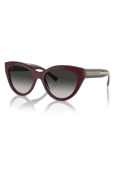 Shop Tiffany & Co 54mm Gradient Cat Eye Sunglasses In Burgundy