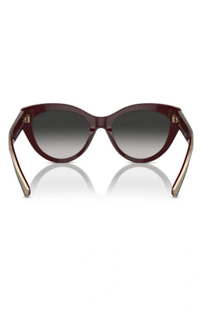 Shop Tiffany & Co 54mm Gradient Cat Eye Sunglasses In Burgundy