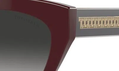 Shop Tiffany & Co . 54mm Gradient Cat Eye Sunglasses In Burgundy
