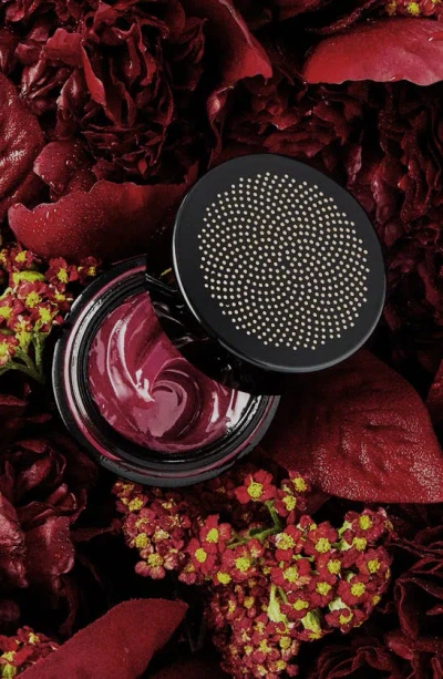 True Botanicals Moisture Lock Balm In Berry