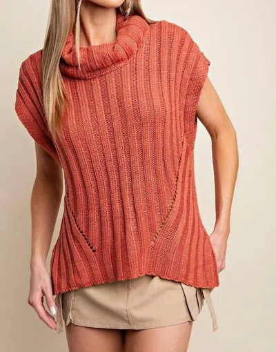 Shop Kori Turtle Neck Sweater Vest In Rust In Pink