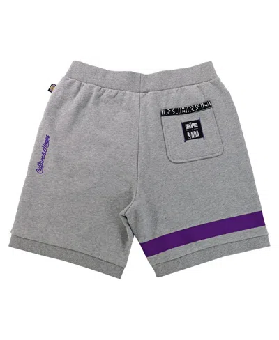 Shop Two Hype Men's And Women's Nba X  Heather Gray Los Angeles Lakers Culture And Hoops Premium Classic F