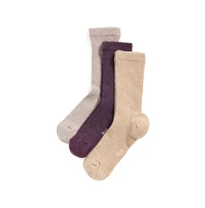 Shop Stems Women's Eco Conscious Cashmere Socks Box Of Three In Heliotrope