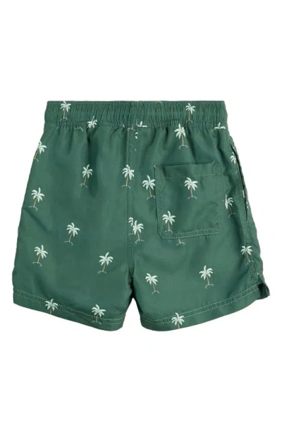 Shop Miles Baby Kids' Palm Trees On Forest Swim Trunks In Green Dark
