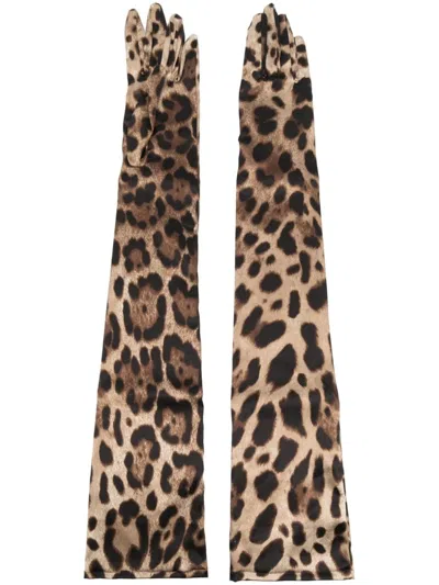 Shop Dolce & Gabbana Leopard Print Silk Gloves In Brown