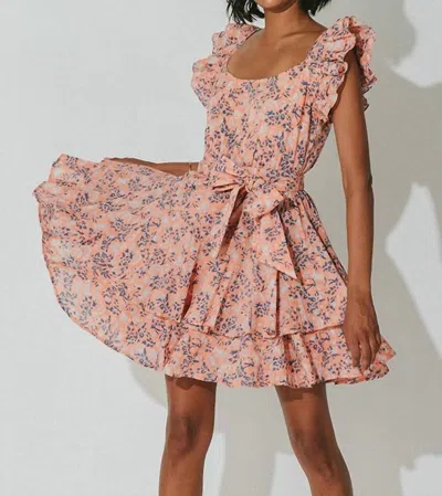 Shop Cleobella Britt Mini Dress In Positano Floral In Pink