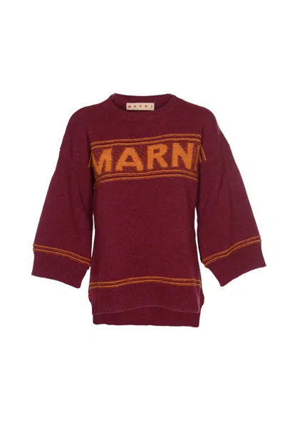 Shop Marni Sweaters In Ruby