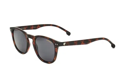 Shop Carrera Unisex 48 Mm Brown Sunglasses Ca2032ts-0086-ir