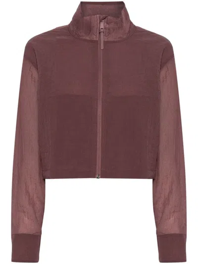 Shop Calvin Klein Pw Woven Jacket Clothing In Pink & Purple