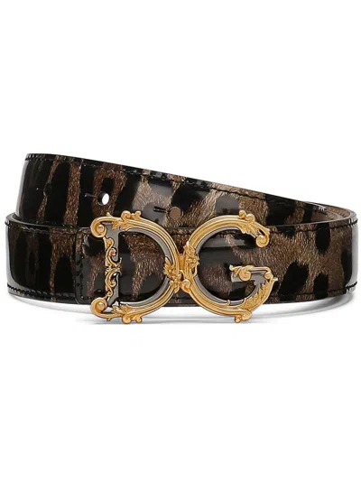 Shop Dolce & Gabbana Belt Accessories In Brown