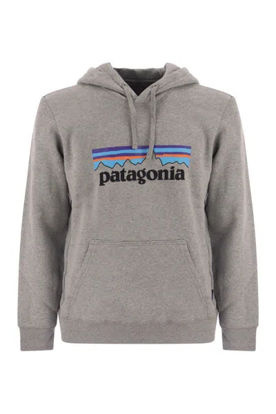 Shop Patagonia Cotton Blend Hoodie In Grey