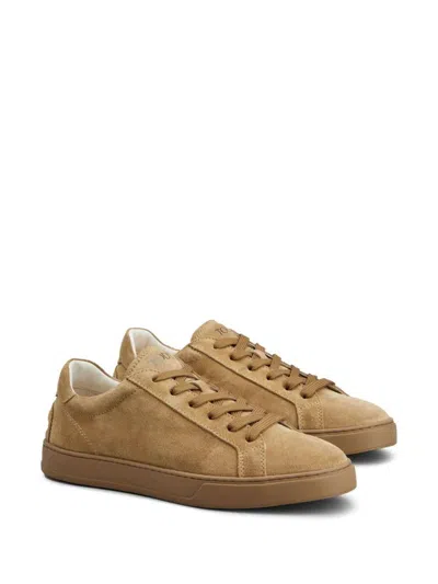 Shop Tod's Sneakers Shoes In Brown