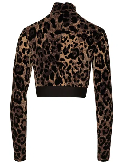 Shop Dolce & Gabbana Long Sleeve Crop Top In Brown
