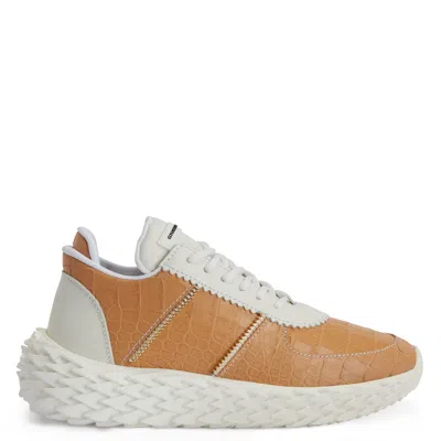 Giuseppe Zanotti Urchin Python-print Sneakers In Brown