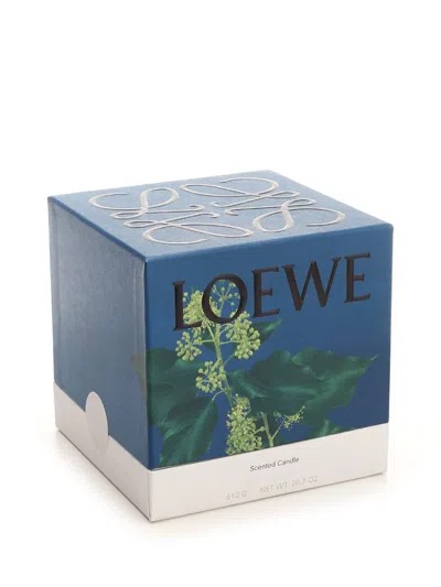 Shop Loewe Pink Ivy Essence Scented S Candle In Rose