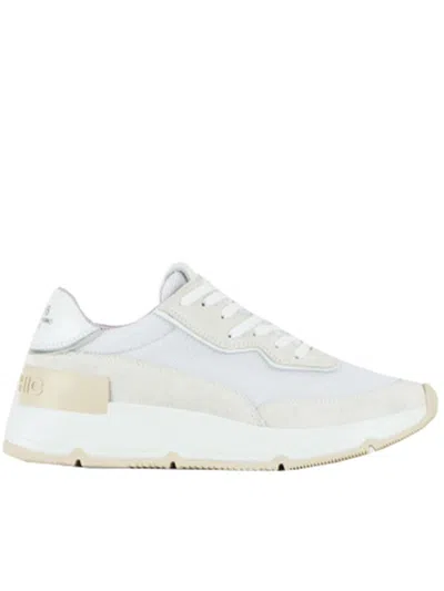 Shop Pànchic Panchic Suede And Leather Mesh Sneaker Shoes In White