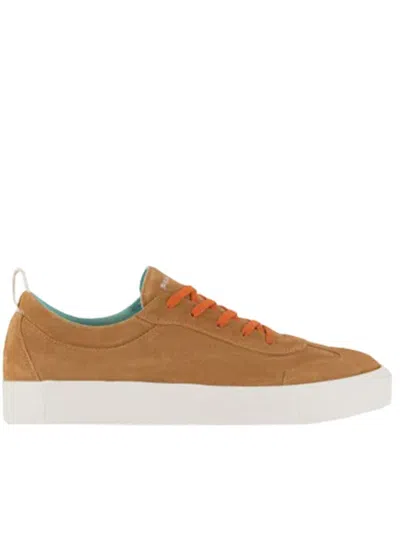 Shop Pànchic Panchic Suede Sneakers Shoes In Brown