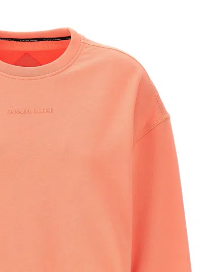 Shop Canada Goose Muskoka Sweatshirt Pink
